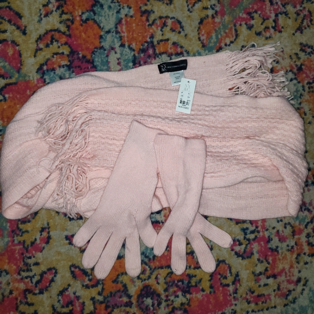 Brand new New York & Company Scarf and Glove set